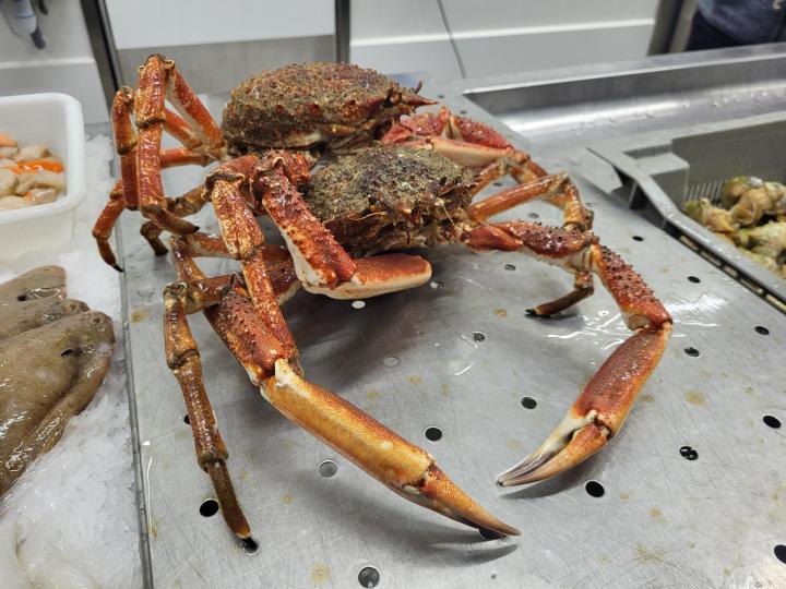 Vente de poissons aux marchés Erquy