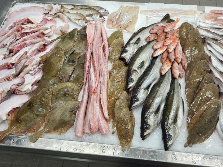 Vente de fruits de mer Erquy