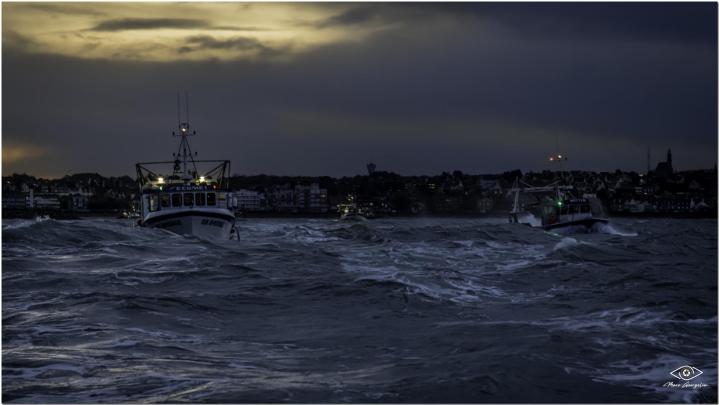 Vente de poissons aux marchés Erquy