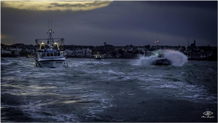 Vente de poissons aux marchés Erquy