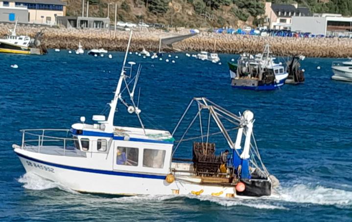 Vente de coquillages et crustacés Erquy