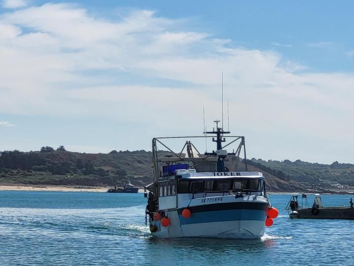 Vente de coquillages et crustacés Erquy