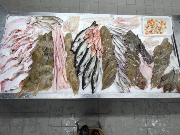 Vente de poissons aux marchés Erquy