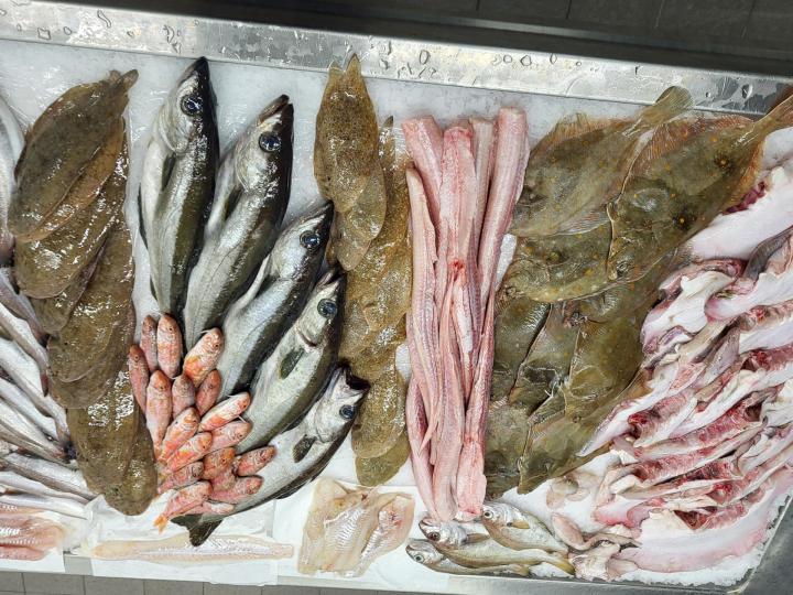 Vente de coquillages et crustacés Erquy