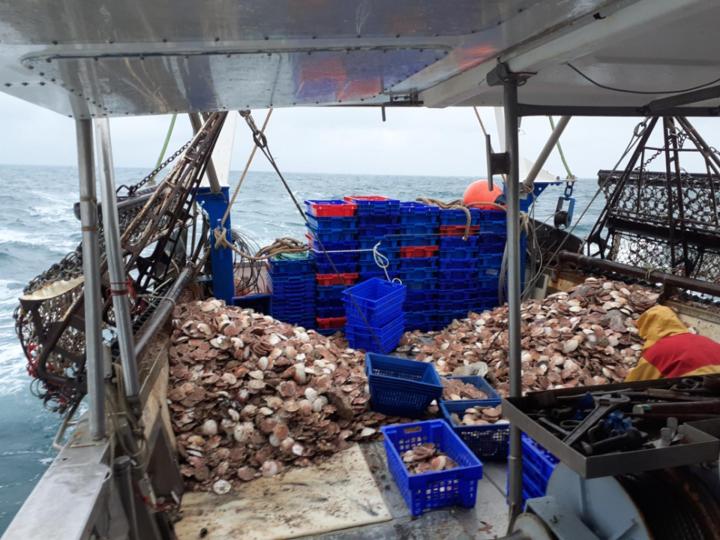 Vente de fruits de mer Erquy