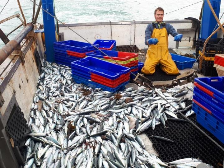 Vente de coquillages et crustacés Erquy
