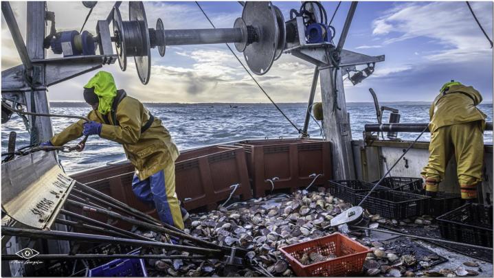 Vente de poissons aux marchés Erquy