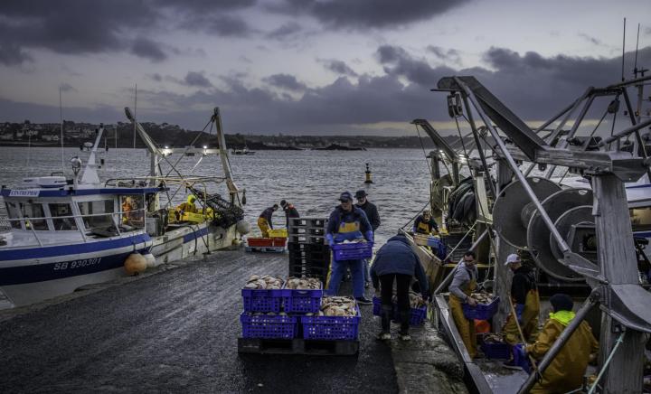 Vente de fruits de mer Erquy