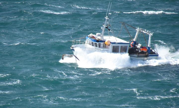 Vente de fruits de mer Erquy