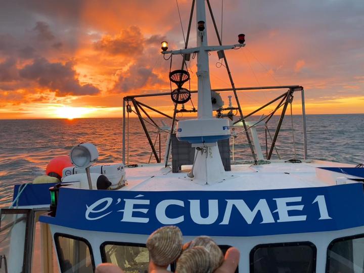Vente de poissons aux marchés Erquy