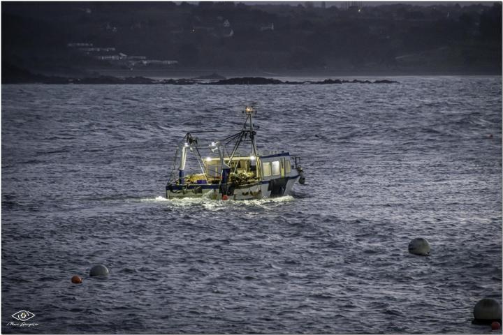 Vente de fruits de mer Erquy