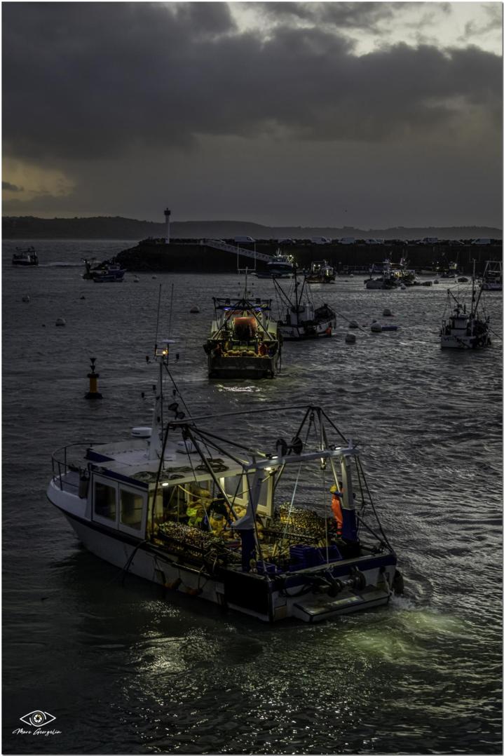 Vente de coquillages et crustacés Erquy