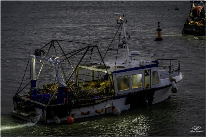 Vente de poissons aux marchés Erquy