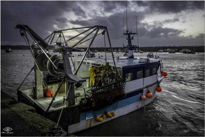 Vente de coquillages et crustacés Erquy