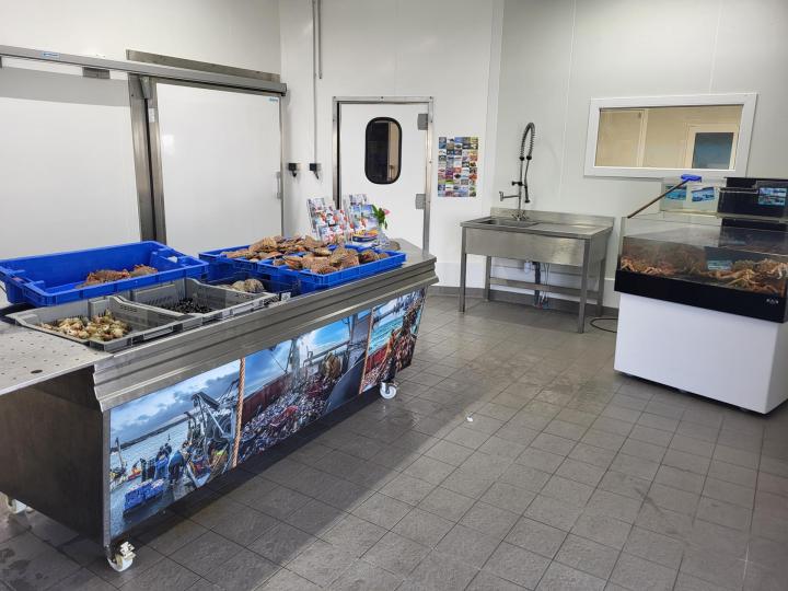 Vente de fruits de mer Erquy