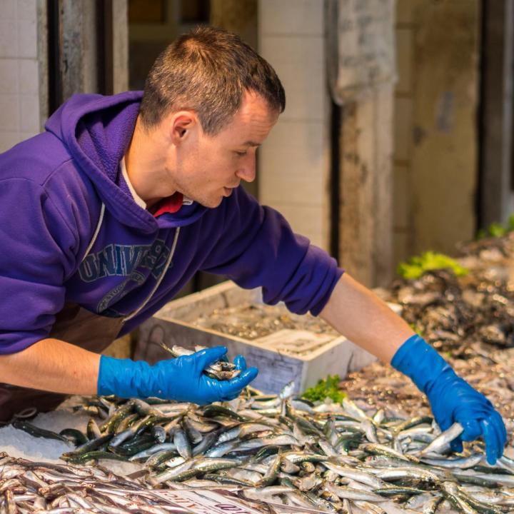 Nos Poissons Erquy
